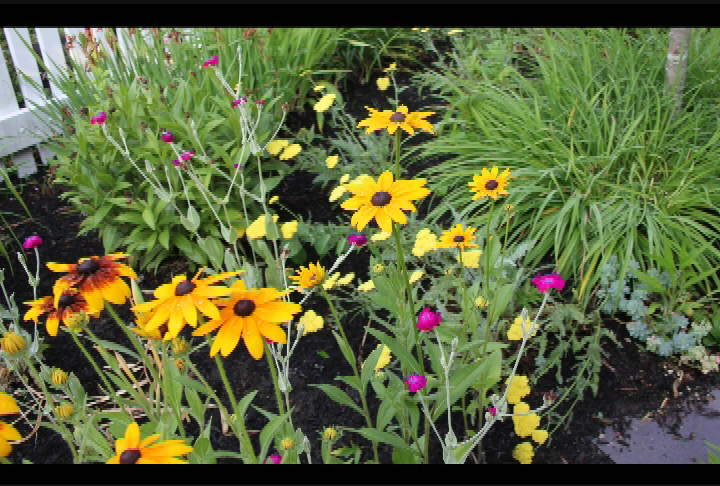 Thumbnail image for Beyond the Garden Gate - "A Tale of Two Gardens"