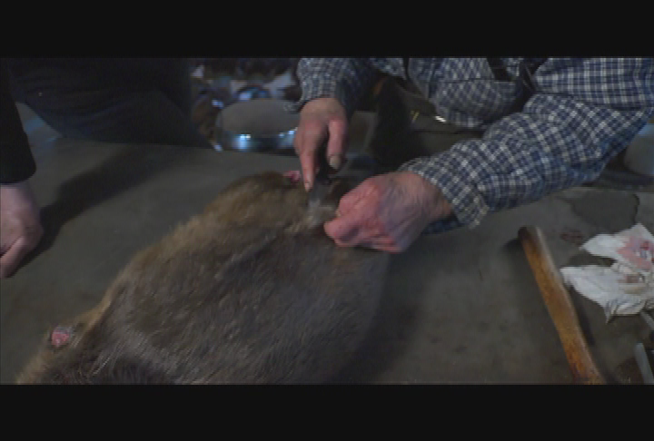 Granite State Outdoors - # 1045 - Fall Hunting