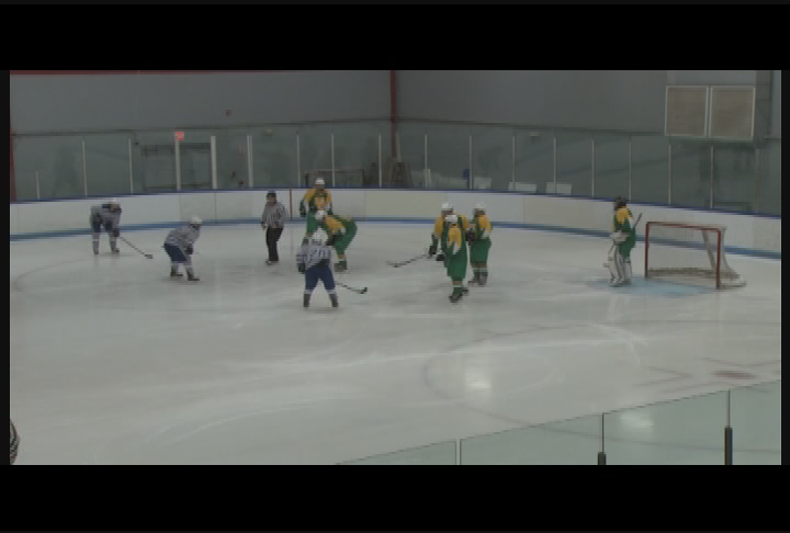 Thumbnail image for Blue Devils Varsity Hockey - Salem vs Bishop Guertin 2-23-15