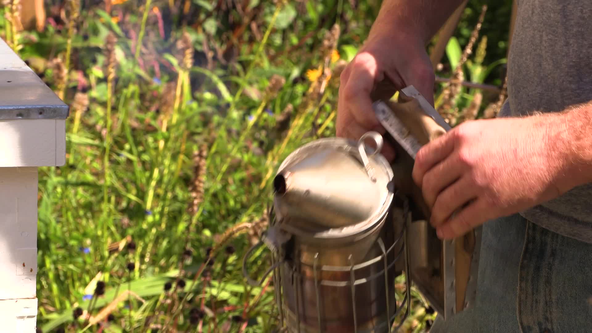 The Family Table - Raising Honey Bees and Cooking with Honey