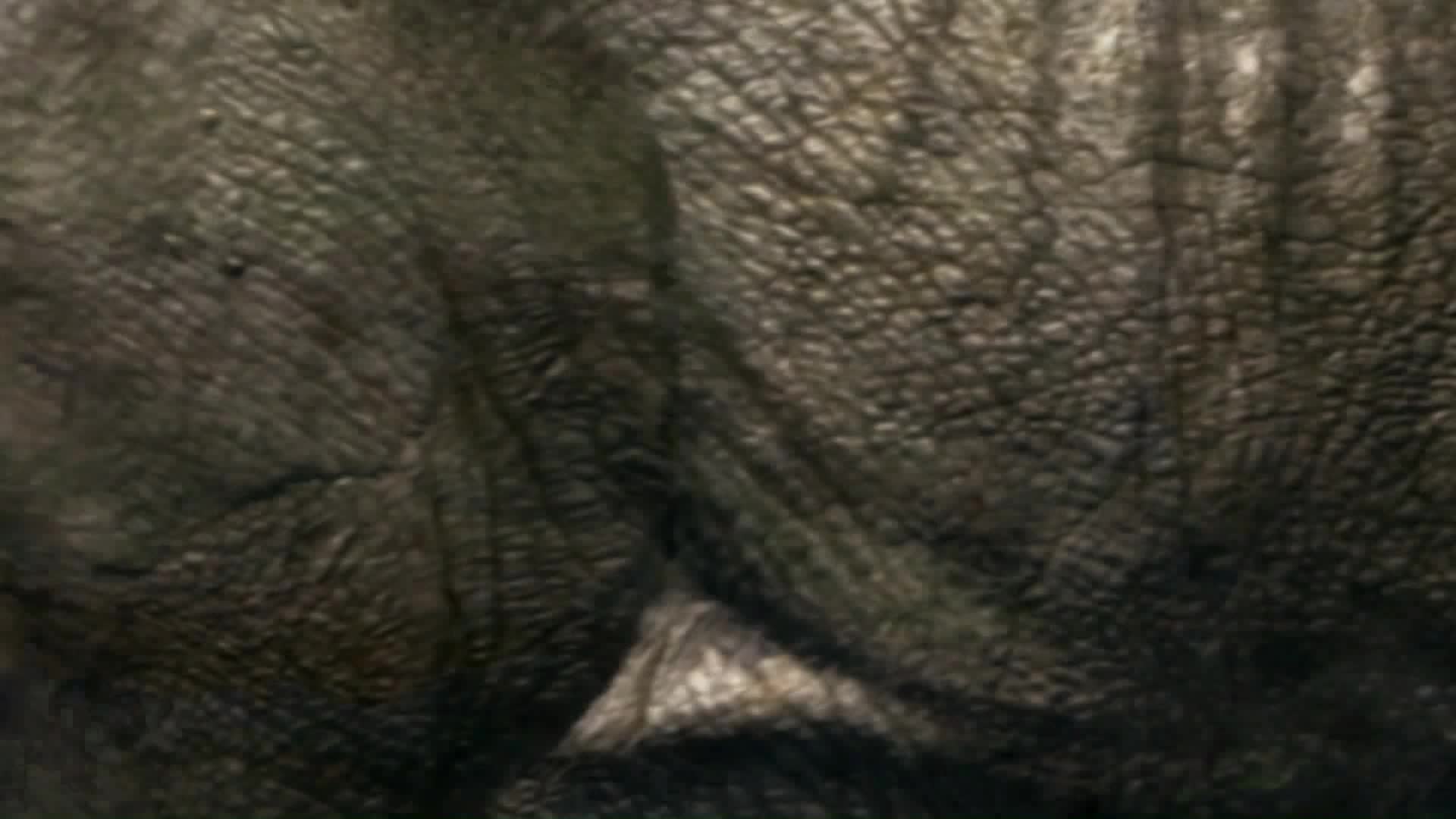 Walking with Dinosaurs - A Time of Titans (presented by the BBC)