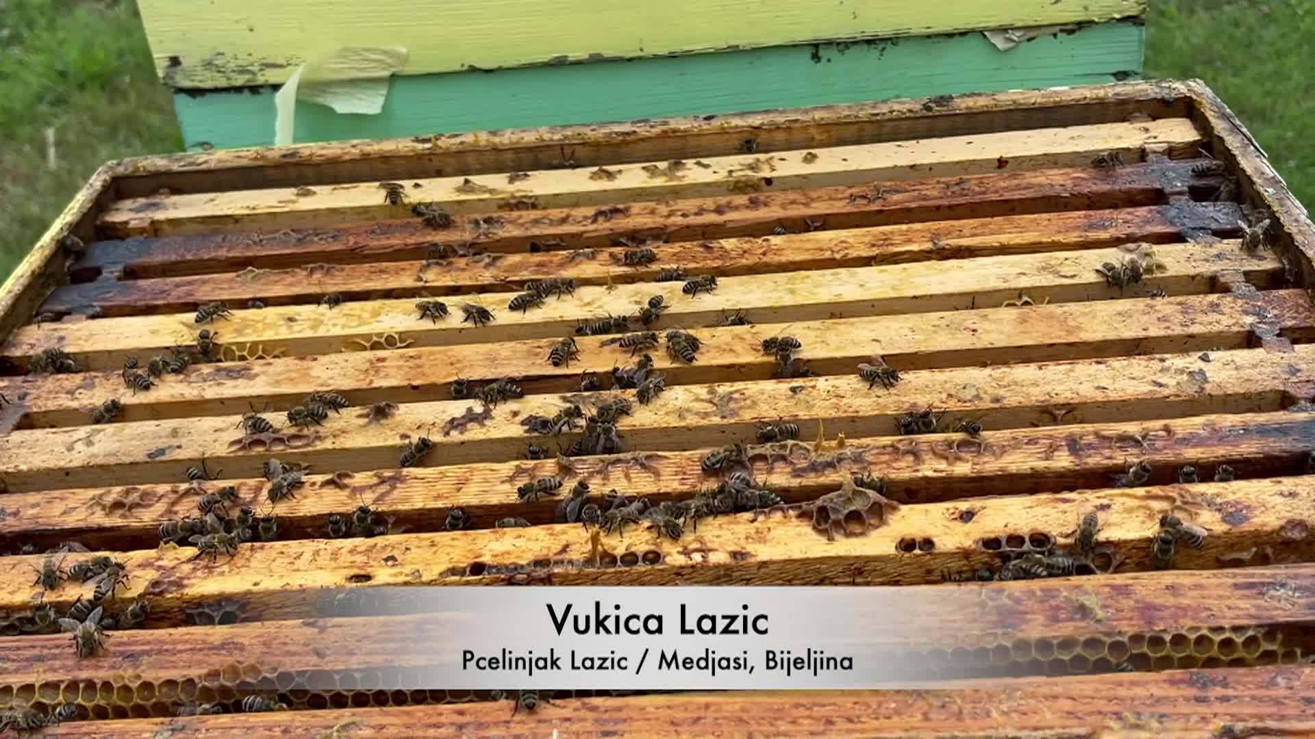 Cooking with Vlada BEEKEEPING AND OLD-FASHIONED HONEY CAKE 0042 S4E3