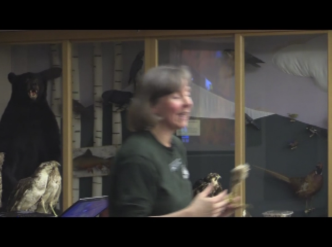 NH Fish and Game Adventure Talks - Raptors!