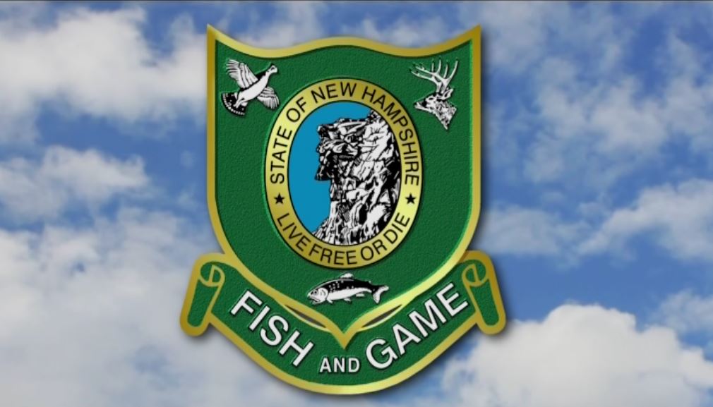 NH's Wildside - Jerk Baits
