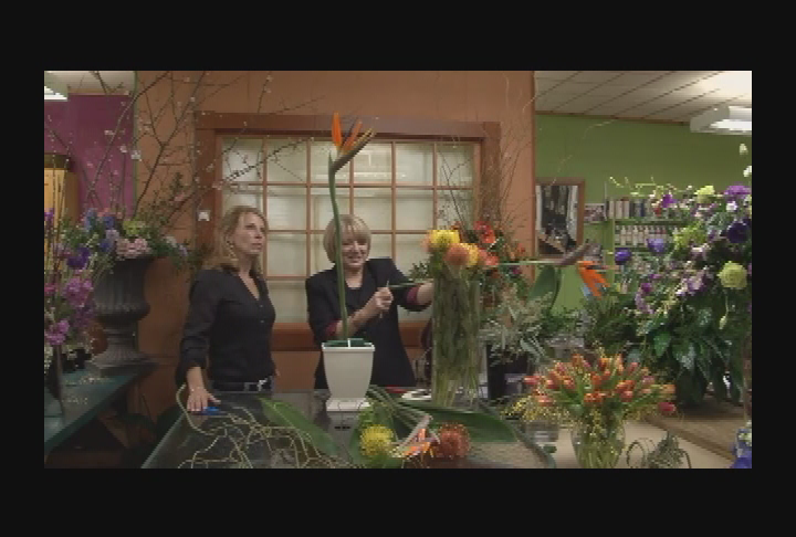 People, Places & Things with Celine - 'Friendship, Love, & Flowers'