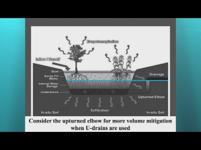 2019 Watershed Congress - Rain Garden Design and Construction
