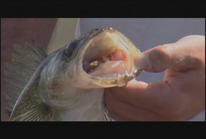 Granite State Outdoors - Episode 1034
