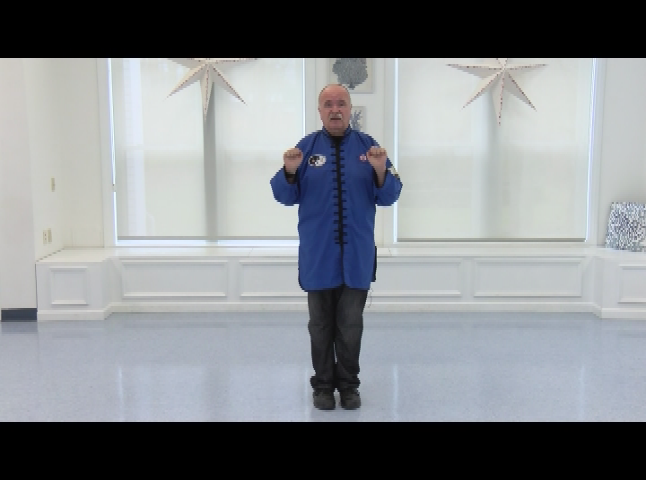 The Art of Tai Chi with Joe Rebelo