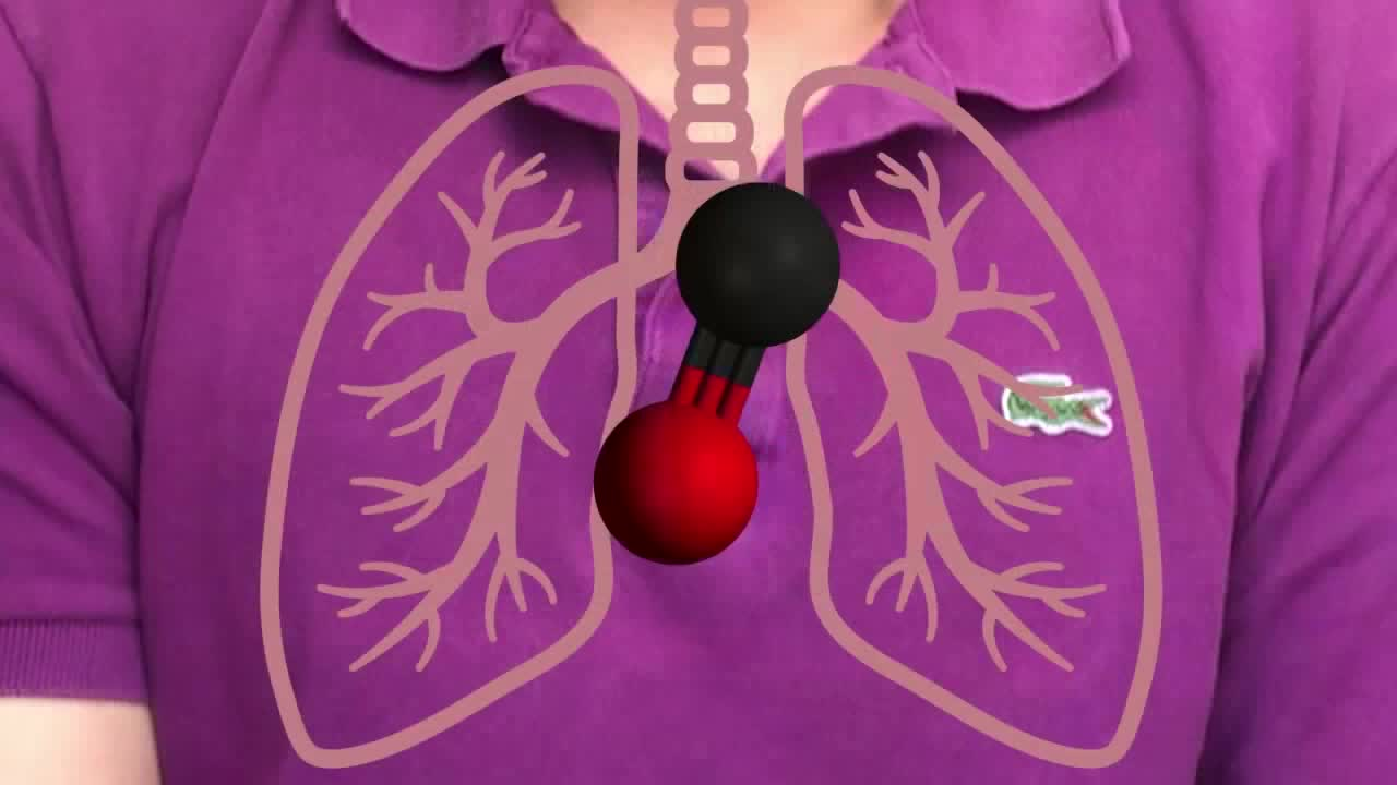 NFPA presents - What You Didn't Know About Carbon Monoxide Poisoning and Alarms