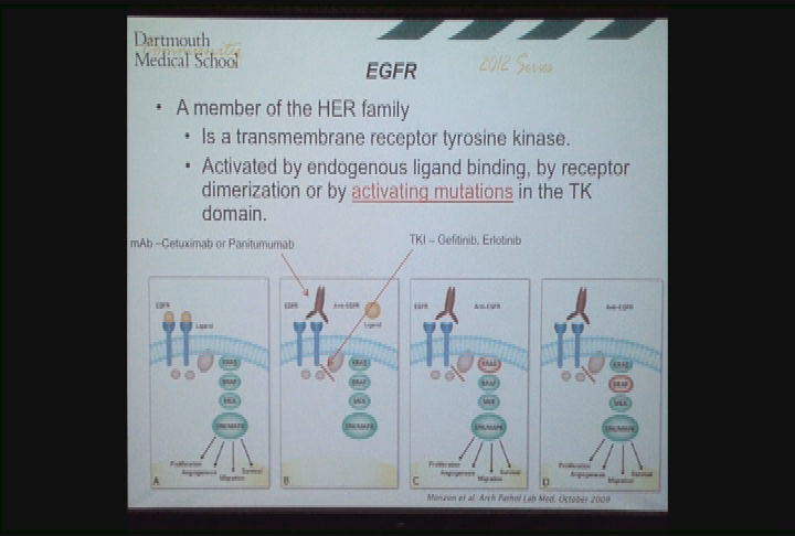 Dartmouth Medical School - Personalized Medicine: Understanding the Biological Basis for individualized treatments