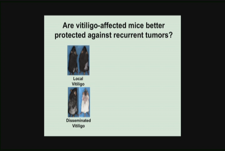 Thumbnail image for Dartmouth Community Medical School - Protection from Melanoma: How autoimmune responses may save your life